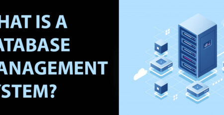 Database Management Software